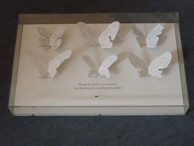 Butterfly display case made from clear cast and white acrylic and foamex foam PVC